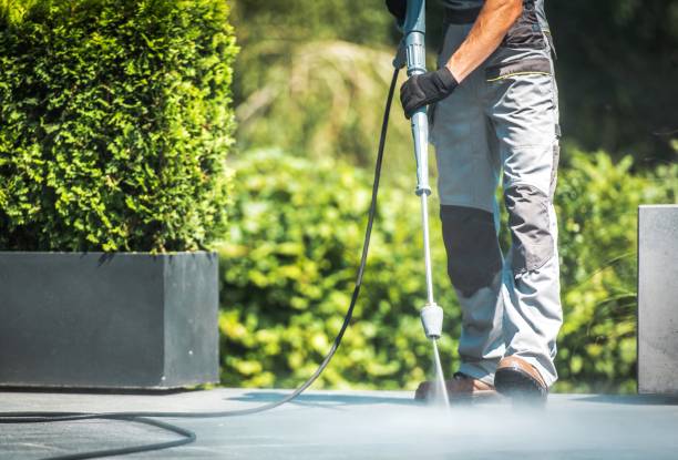 Best Gutter Cleaning  in Parkston, SD